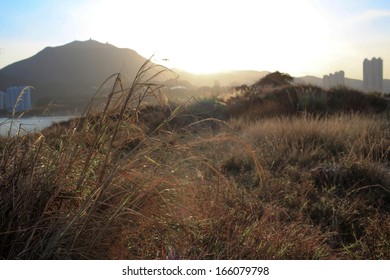 Abandoned stone mine near hong kong city, glass glowing in meadow under the beautiful sunset - Powered by Shutterstock