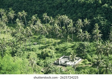 Abandoned structure surrounded by lush palm trees tropical landscape aerial view serenity in nature
