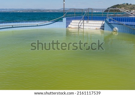 Abandoned swimming pool with dirty green algae water