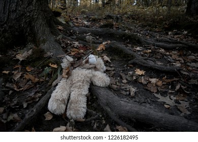 Abandoned Teddy Bear Forest Stock Photo 1226182495 | Shutterstock