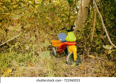 Abandoned Toy Cart In The Forest