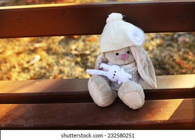 Abandoned Toy On The Bench