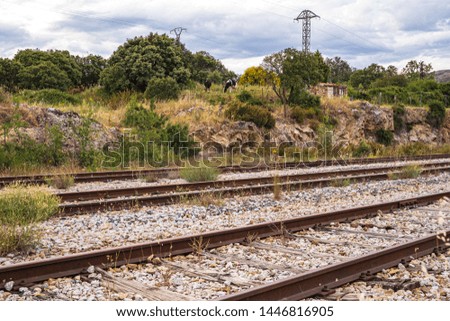 Abandoned train road with two cows grazing nearby, with cloudy sky