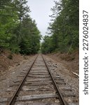 Abandoned train tracks in New Hampsire