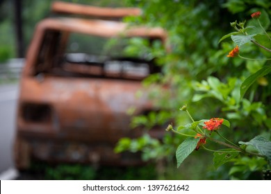 Abandoned van parked in side of hill road in a foggy bright day