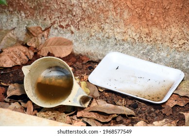 Abandoned Vessel With Standing Water Inside, Aedes Aegypti Larvae Proliferation Site, Dengue, Chikungunya, Zika Virus ,.