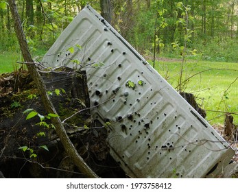 Abandoned Vintage Metal Tail Gate