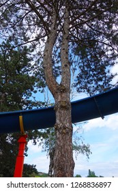 Abandoned Water Toboggan