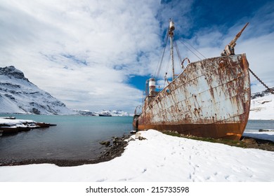 Abandoned Whaling Ship on Shore, Grytviken, South Georgia Island