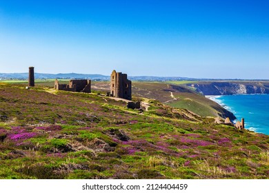 The abandoned Wheal Coates tin mine, set on the Cornish cliffs amongst heather, near St Agnes Head, North Cornwall, UK on a beautiful summer day, one of the sites along the south west coast path.