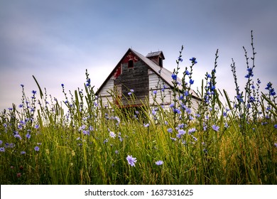 Corn Crib Images Stock Photos Vectors Shutterstock