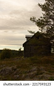 Abandoned Wooden House Standing Alone In Fir Forest