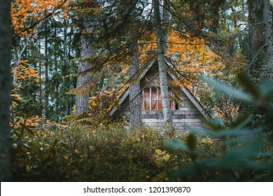 Scary Cabin Woods Images Stock Photos Vectors Shutterstock