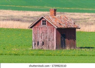 Abandoned wooden storage barn in red worn colors in a green cropfield with forest in the background. Summer and colorful