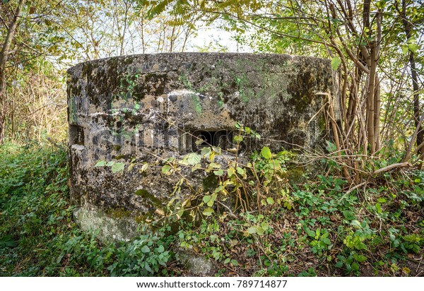 Abandoned World War Army Bunker Covered Stock Photo (Edit Now) 789714877