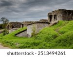 Abandoned World War II bunkers with overgrown grass and cloudy sky, symbolizing war history and decay, perfect for historical content