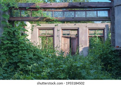 Abandoned wrecked house with empty windows overgrown with green ivy and plants - Powered by Shutterstock