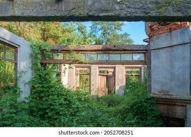 Abandoned wrecked house with empty windows overgrown with green ivy and plants - Powered by Shutterstock