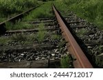 Abanoned rail road line at ground