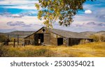 An abanoned vintage farm with barn near Frenchglem Oregon