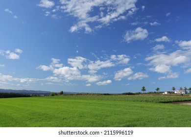 At Abashiri, Hokkaido In Late September. From The Fairy Tale Hill At The End Of Autumn. Autumn Hokkaido With An Impressive Blue Sky.