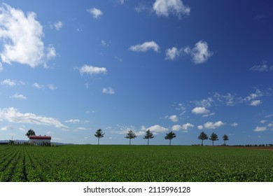 At Abashiri, Hokkaido In Late September. From The Fairy Tale Hill At The End Of Autumn. Autumn Hokkaido With An Impressive Blue Sky.