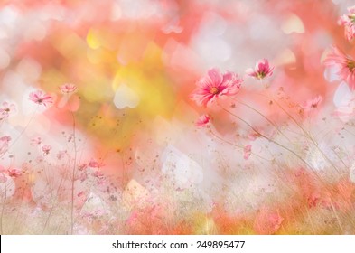 Peach Color Orchid Images Stock Photos Vectors Shutterstock