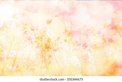 Peach Color Orchid Images Stock Photos Vectors Shutterstock