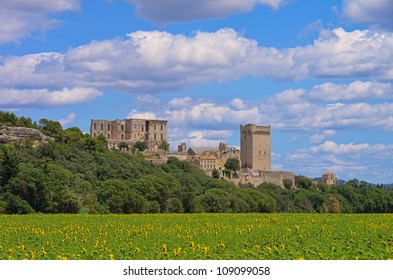 Abbaye De Montmajour