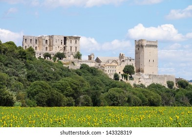 Abbaye De Montmajour