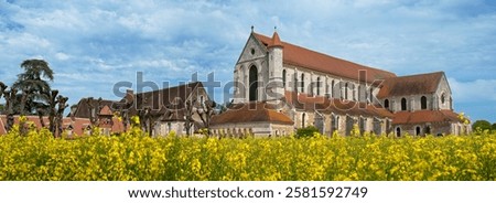 Similar – Foto Bild blühendes Rapsfeld mit einem Laubbaum am Horizont vor hellblauem Himmel / Frühling