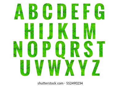 Abc Green Leaf Pattern Alphabet Letters Stock Photo 552490234 