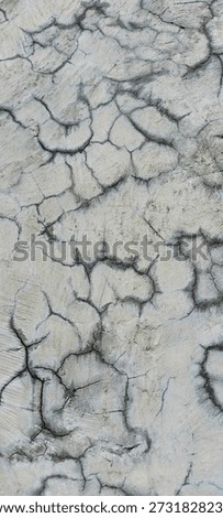 abctract background of the texture of the wall