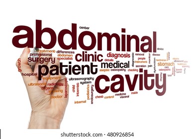 Abdominal Cavity Word Cloud Concept