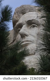 Abe Lincoln Silhouetted By Mount Rushmore Pine Trees.