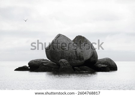 Abel Tasman National Park in New Zealand