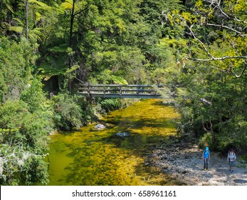 Abel Tasman National Park, NZ.