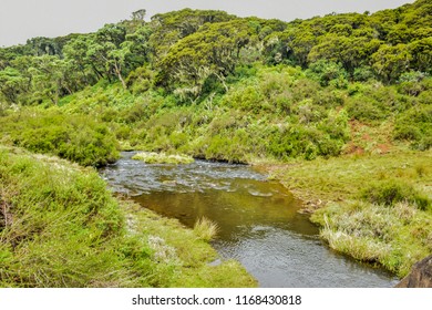 The Aberdares are the third highest range of mountains in Kenya, reaching a summit of just over 4000m. This massive range is well known for its thick salient forests, and their prolific game.

