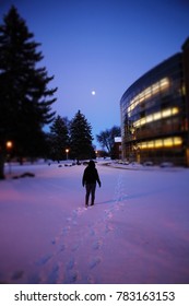 Aberdeen, South Dakota / USA - September 5 2013: A Shot Of A Girl Walking In The Snow Under The Moonlight At Northern State University