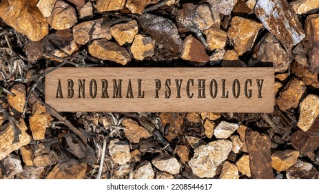 Abnormal Psychology. Written On Wooden Surface. Wooden Frame On Pieces Of Stone. Diseases And Cures