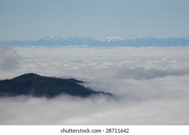 Above the clouds