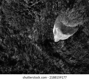 From Above Drone View Of Rusty Tank With Grass Growing On Top In Meadow In Summer, Black And White