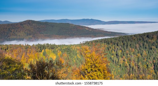 Above the fog in the vosges mountains in france - Shutterstock ID 1558738175
