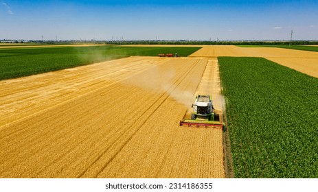 Above front view on agricultural harvester, combine is cutting and harvesting mature wheat on farm fields. Tractor with two trailers is ready for transshipment in background. - Shutterstock ID 2314186355