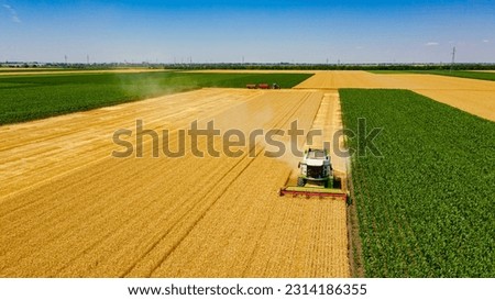 Above front view on agricultural harvester, combine is cutting and harvesting mature wheat on farm fields. Tractor with two trailers is ready for transshipment in background.