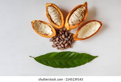 Above Half Yellow Cacao Pods And Cocoa Leaf With Brown Cocoa Beans On White Background.top View