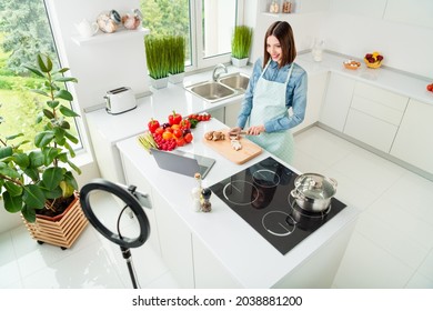 Above high angle view portrait of attractive cheerful girl blogger preparing dish recording video lesson at home light white kitchen