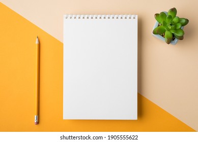 Above overhead close up flatlay view photo of clear spiral textbook with drawing pencil and succulent plant isolated half yellow and beige desk