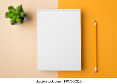 Above overhead close up view photo of minimal design spiral notebook with pencil and succulent green plant isolated half beige and yellow desktop
