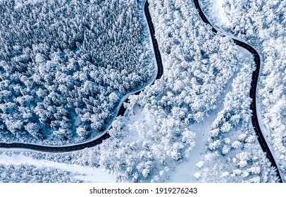 Above the road in the winter snow forest. Above road in winter snow top view